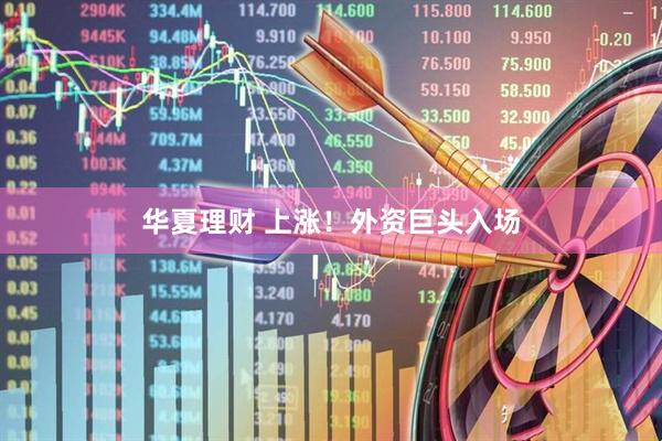 华夏理财 上涨！外资巨头入场