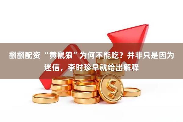 翻翻配资 “黄鼠狼”为何不能吃？并非只是因为迷信，李时珍早就给出解释