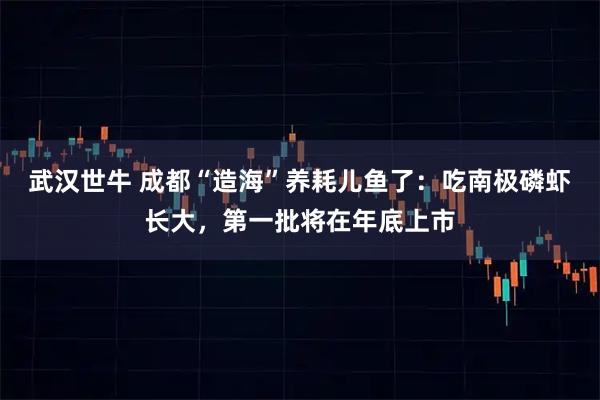 武汉世牛 成都“造海”养耗儿鱼了：吃南极磷虾长大，第一批将在年底上市