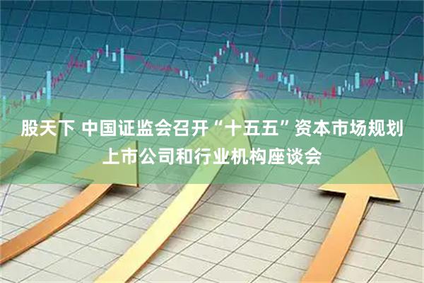 股天下 中国证监会召开“十五五”资本市场规划上市公司和行业机构座谈会